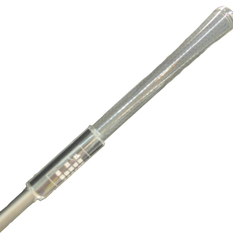 �p���R�T�@�l�`�w�@�k�h�s�d�@�t�T