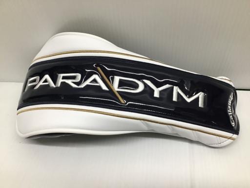 ＰＡＲＡＤＹＭ　１０．５°