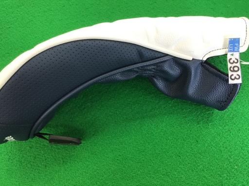 �p���P�O�@�T�v