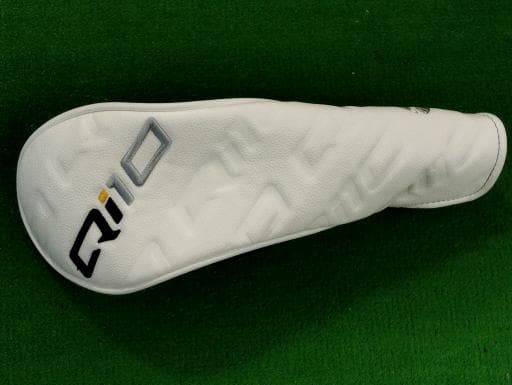 �p���P�O�@�T�v