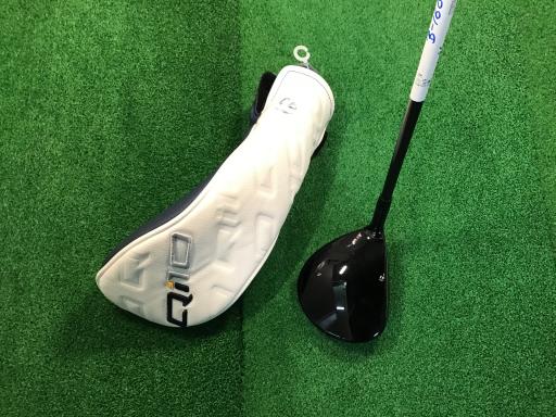 �p���P�O�@�T�v