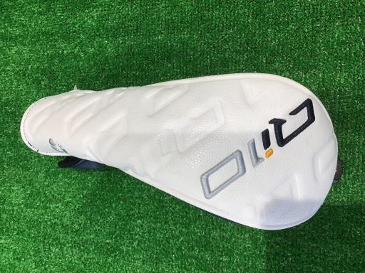 �p���P�O�@�T�v