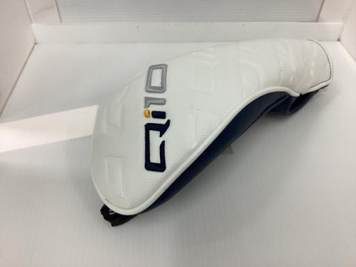 �p���P�O�@�T�v