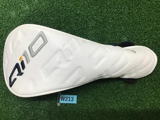 �p���P�O�@�T�v