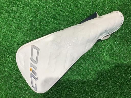 �p���P�O�@�T�v