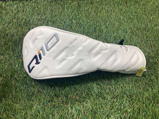 �p���P�O�@�T�v