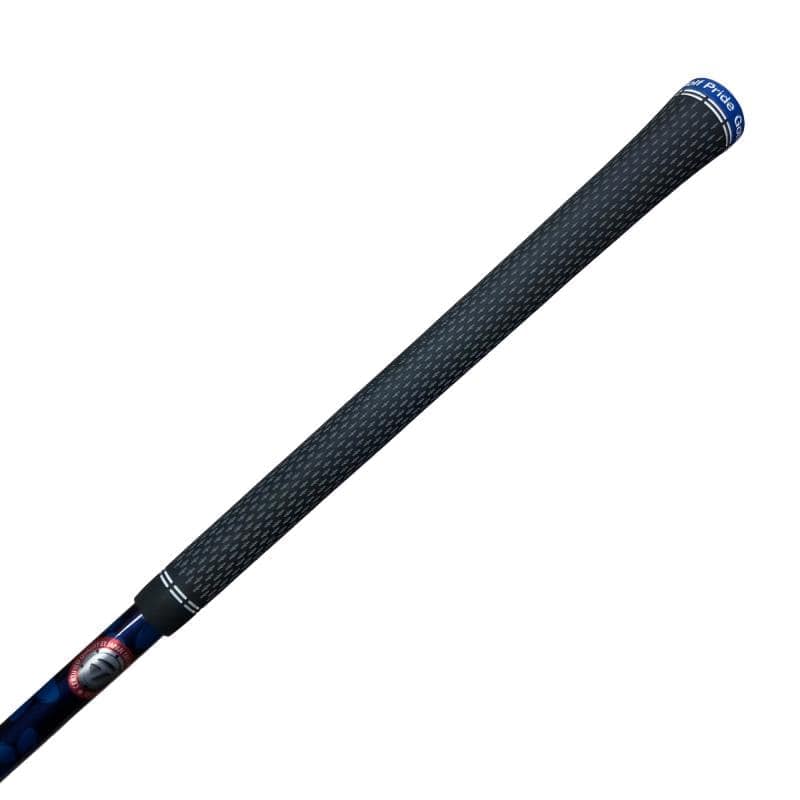 �p���P�O�@�T�v