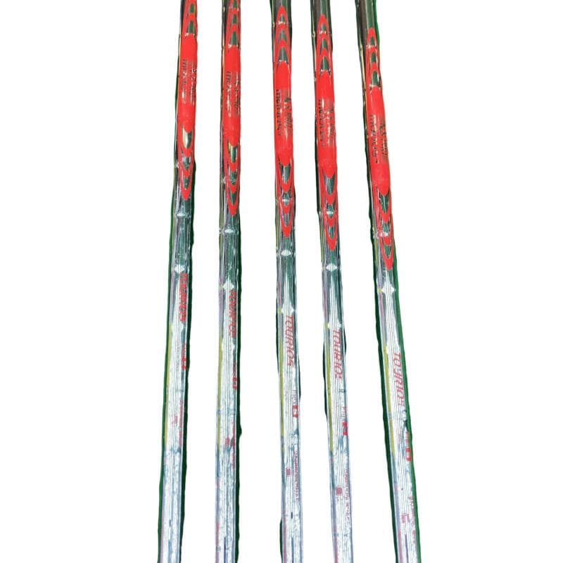 ���T�O�O�@�T�r�i���{���F�T�{�Z�b�g�j