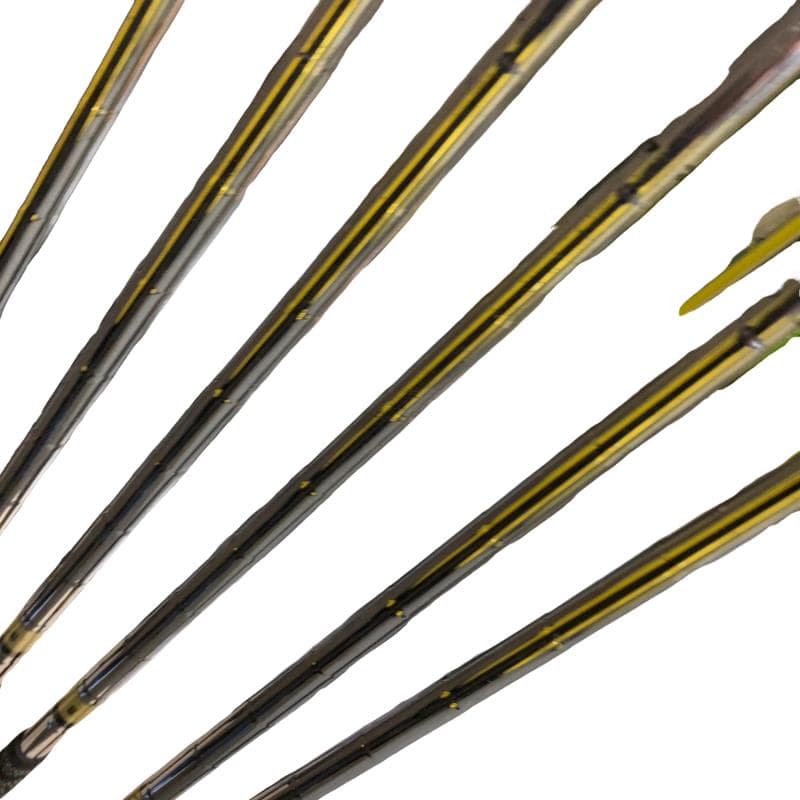 �s���������������@�`�o�Q�@�V�P�O�@�U�r�i���{���F�U�{�Z�b�g�j