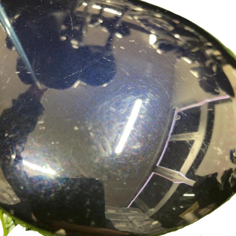 �w�w�h�n�i�Q�O�P�Q�j�@�P�Q�D�T°�i�u���[�j�@���f�B�[�X