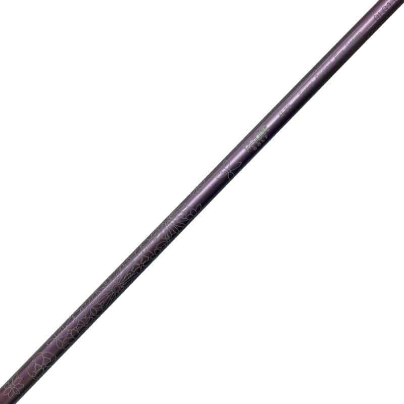 �r���������@�b�s�|�P�P�@�S�r�@�i�O���b�V�[�s���N�j�@���f�B�[�X�i���{���F�S�{�Z�b�g�j