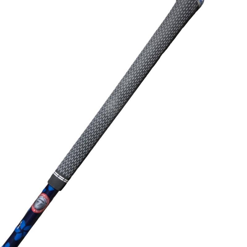 �p���P�O�@�V�v