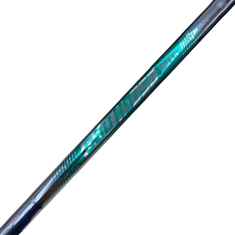 ���T�R�O�@�T�r�i���{���F�T�{�Z�b�g�j