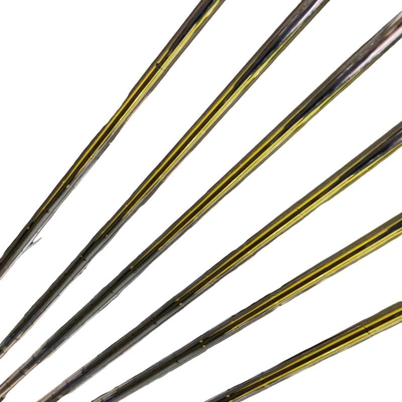 �w�w�h�n�i�Q�O�Q�O�j�@�������@�W�r�i���{���F�U�{�Z�b�g�j