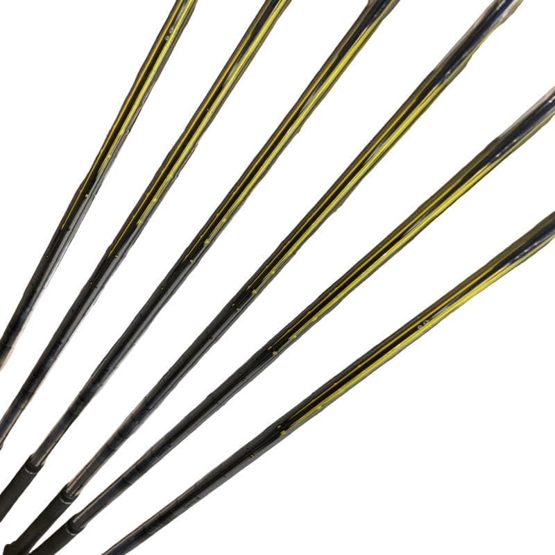 �p���@�@�V�r�@���t�e�B�i���{���F�U�{�Z�b�g�j