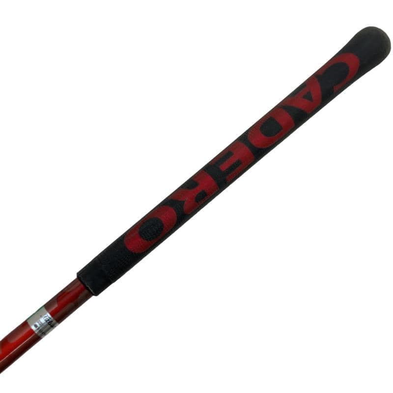 �X�P�T�@�g�@�t�R