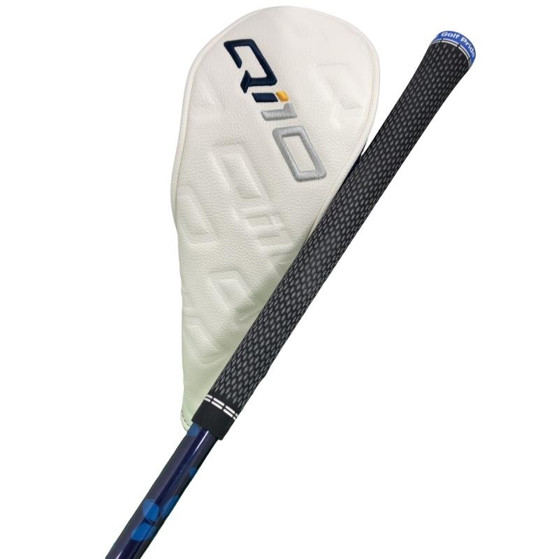 �p���P�O�@�T�v