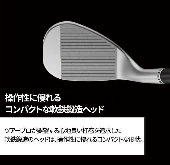 PING s GLIDE FORGED PRO EFbW S T NS PRO 950GS Dynamic Gold S200