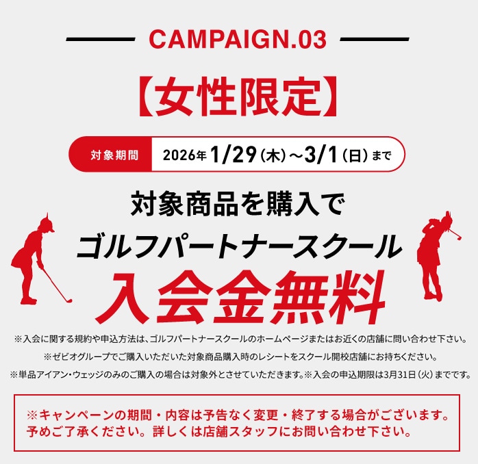 �y�\��̔��z�e�[���[���C�h Qi4D MAX LITE ���[�e�B���e�B ���f�B�[�X �J�[�{���V���t�gTaylorMade