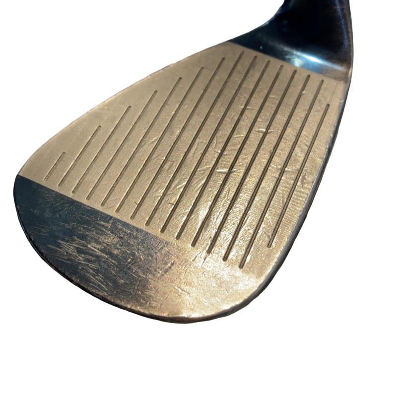 �l�����������@�s�Q�O�i�u���[�j�@�T�P°�^�O�W°