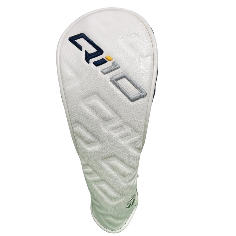 �p���P�O�@�T�v