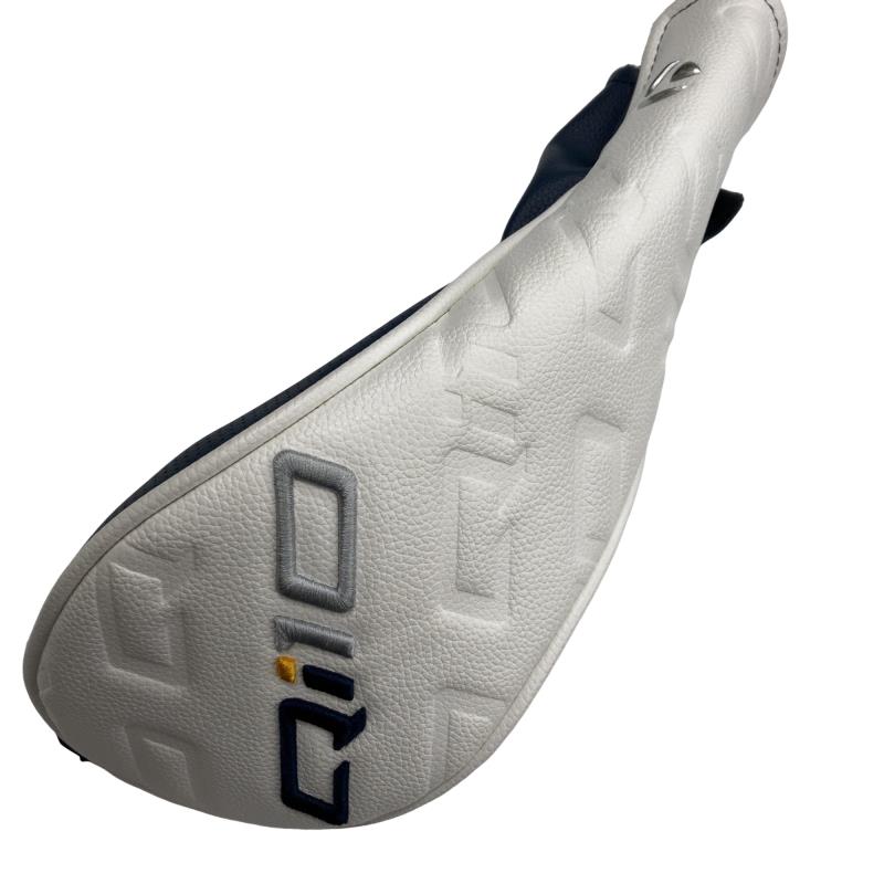 �p���P�O�@�T�v