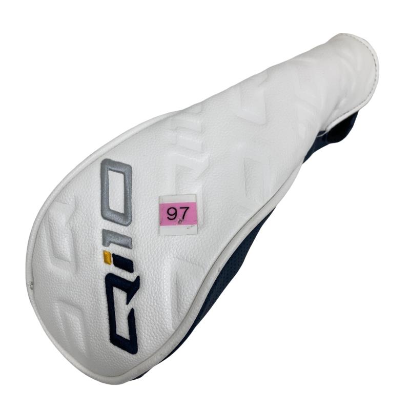 �p���P�O�@�T�v