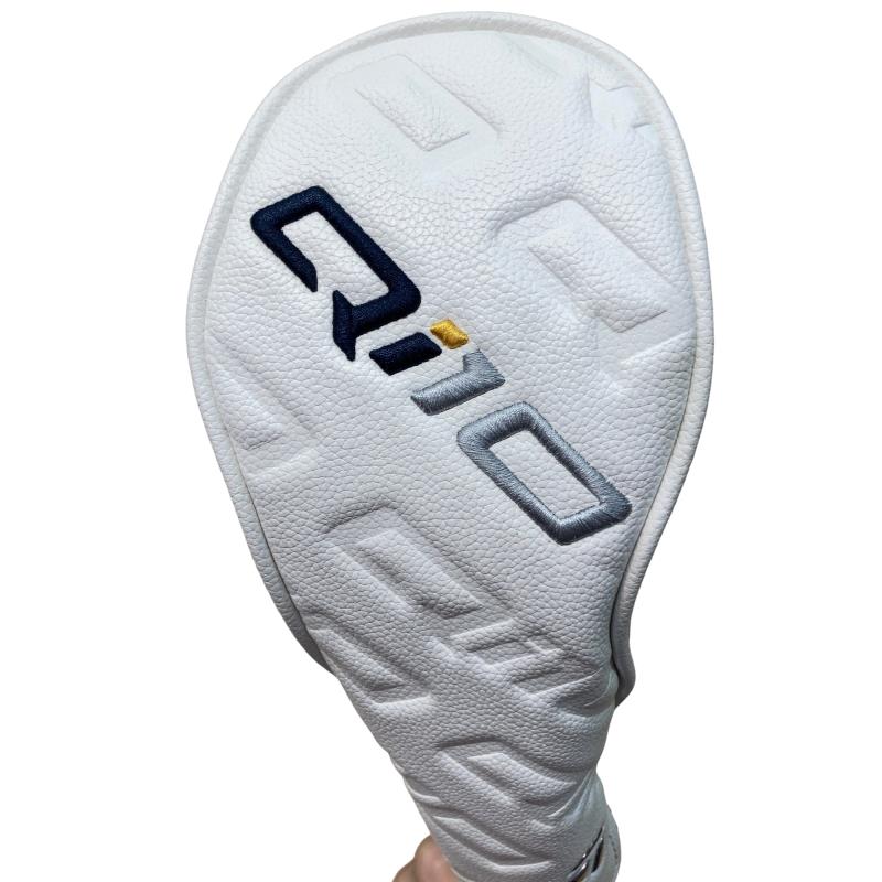 �p���P�O�@�T�v