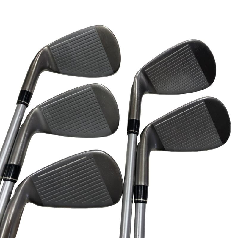 �r���������@�a���������@�@�T�r�@���f�B�[�X�i���{���F�T�{�Z�b�g�j