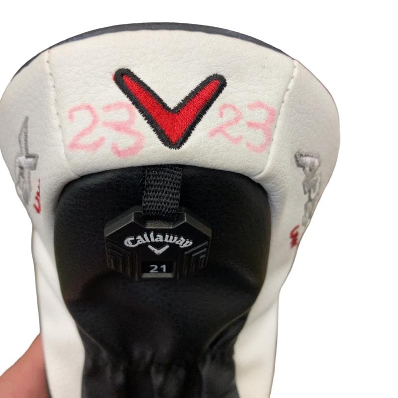 �`�o�d�w�@�t�v�i�Q�O�Q�S�j�@�Q�R°