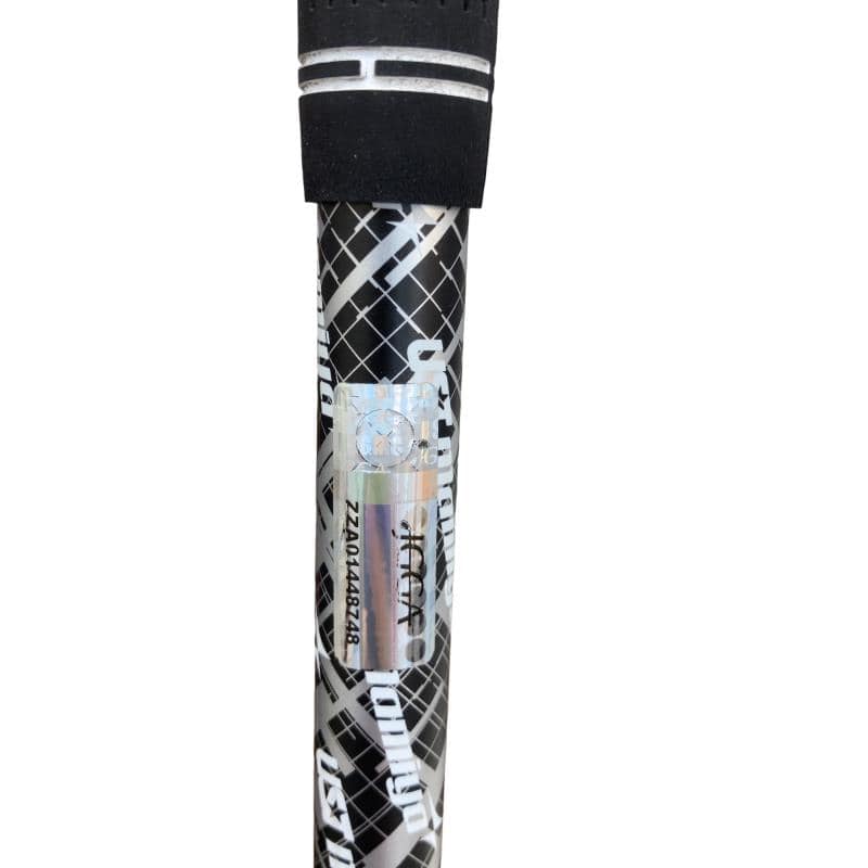 �j�Q�j�@���������O�X���[�e�B���e�B�@�t�T