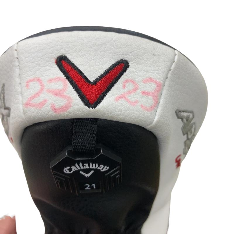 �`�o�d�w�@�t�v�i�Q�O�Q�S�j�@�Q�R°