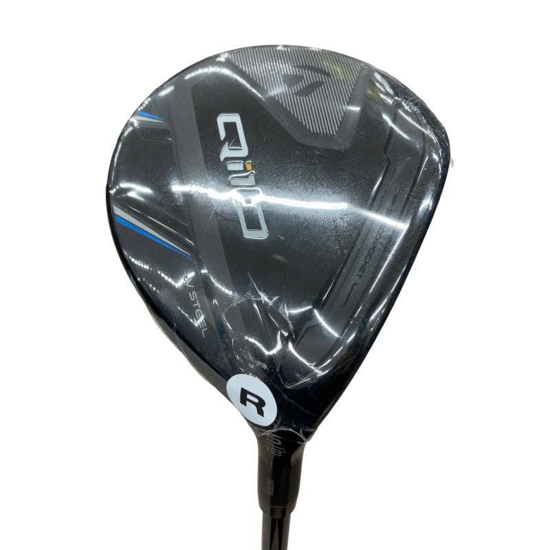 �p���P�O�@�T�v