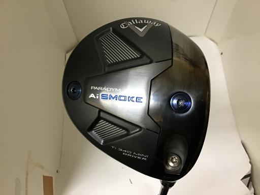ＰＡＲＡＤＹＭ　Ａｉ　ＳＭＯＫＥ　Ｔｉ　３４０　ＭＩＮＩ　１３．５°