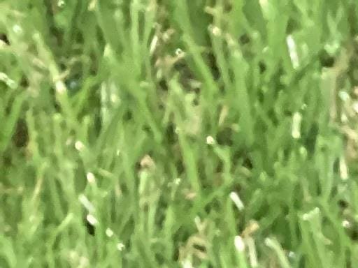 fknhqd@eiQOPUj@PODT°