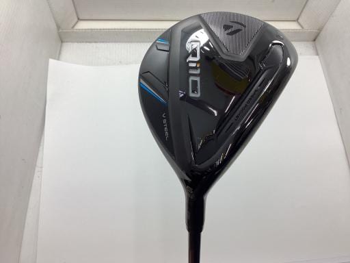 �p���P�O�@�T�v