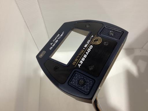 Ａｉ－ＯＮＥ・ＭＩＬＬＥＤ　ＪＡＩＬＢＩＲＤ　ＭＩＮＩ　ＶＥＲＳＡ９０　Ｔ　ＤＢ　３４インチ