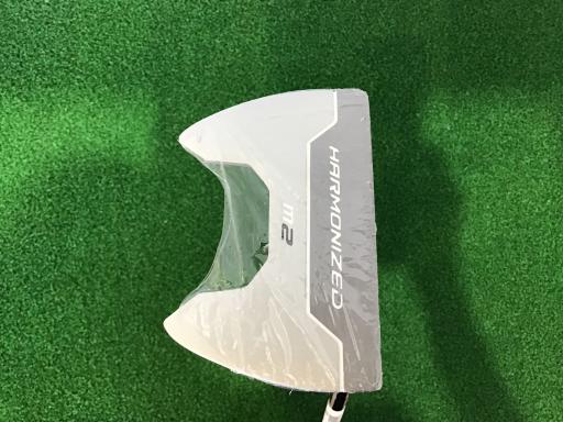 ｈａｒｍｏｎｉｚｅｄ　Ｍ２　３４インチ　レディース
