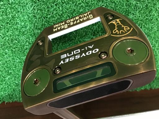 Ａｉ－ＯＮＥ　ＧＩＲＡＦＦＥ－ＢＥＡＭ　ＪＡＩＬＢＩＲＤ　ＭＩＮＩ　３４インチ