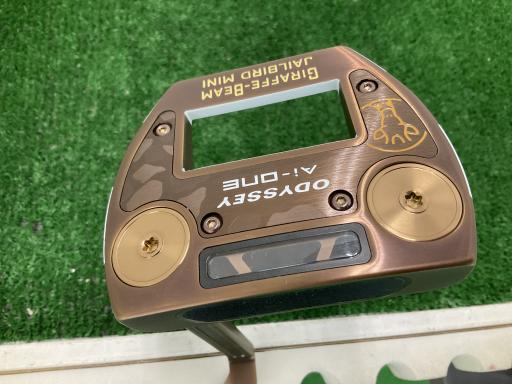 Ａｉ－ＯＮＥ　ＧＩＲＡＦＦＥ－ＢＥＡＭ　ＪＡＩＬＢＩＲＤ　ＭＩＮＩ　３４インチ
