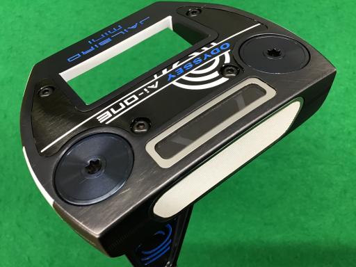 Ａｉ－ＯＮＥ　ＪＡＩＬＢＩＲＤ　ＭＩＮＩ　ＶＥＲＳＡ９０　ＣＨ　３４インチ