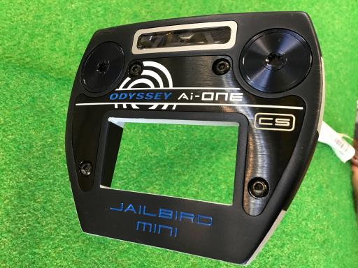 Ａｉ－ＯＮＥ　ＴＲＩ－ＢＥＡＭ　ＪＡＩＬＢＩＲＤ　ＭＩＮＩ　ＣＳ　３３インチ