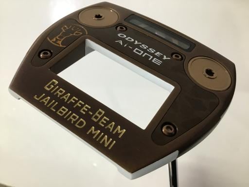 Ａｉ－ＯＮＥ　ＧＩＲＡＦＦＥ－ＢＥＡＭ　ＪＡＩＬＢＩＲＤ　ＭＩＮＩ　３４インチ