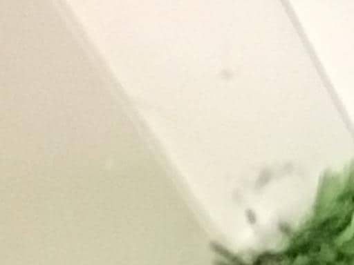 qnftd@rs@oqn@tR