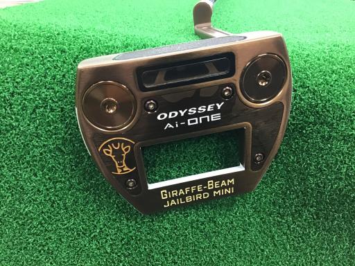 Ａｉ－ＯＮＥ　ＧＩＲＡＦＦＥ－ＢＥＡＭ　ＪＡＩＬＢＩＲＤ　ＭＩＮＩ　３３インチ