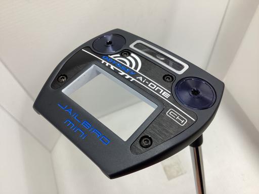 Ａｉ－ＯＮＥ　ＪＡＩＬＢＩＲＤ　ＭＩＮＩ　ＣＨ　３４インチ