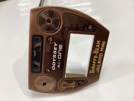 Ａｉ－ＯＮＥ　ＧＩＲＡＦＦＥ－ＢＥＡＭ　ＪＡＩＬＢＩＲＤ　ＭＩＮＩ　３４インチ