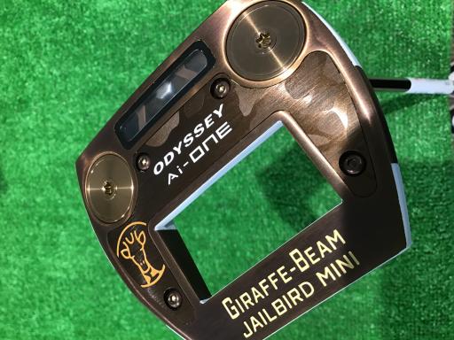 Ａｉ－ＯＮＥ　ＧＩＲＡＦＦＥ－ＢＥＡＭ　ＪＡＩＬＢＩＲＤ　ＭＩＮＩ　３４インチ