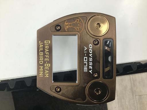 Ａｉ－ＯＮＥ　ＧＩＲＡＦＦＥ－ＢＥＡＭ　ＪＡＩＬＢＩＲＤ　ＭＩＮＩ　３４インチ
