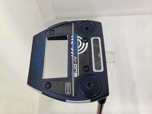 Ａｉ－ＯＮＥ　ＪＡＩＬＢＩＲＤ　ＭＩＮＩ　ＣＨ　３４インチ